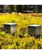 Ульи малоформатные на заказ нестандартные ульи из дерева
